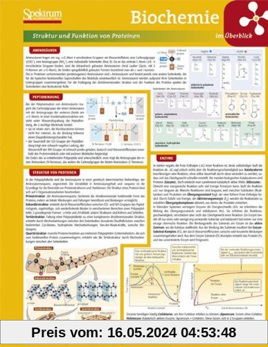 Lerntafel: Biochemie im Überblick (Lerntafeln Biologie)